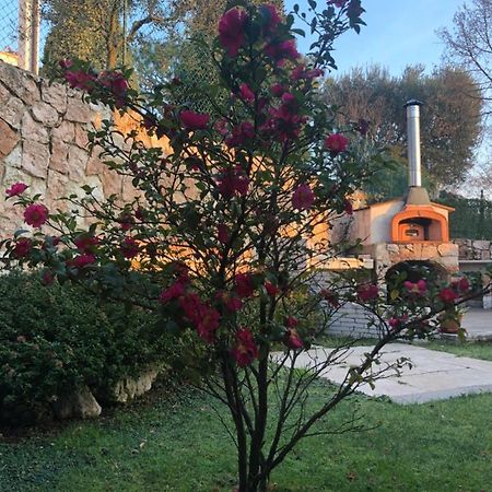 B&B Damiano Crespano del Grappa Екстер'єр фото