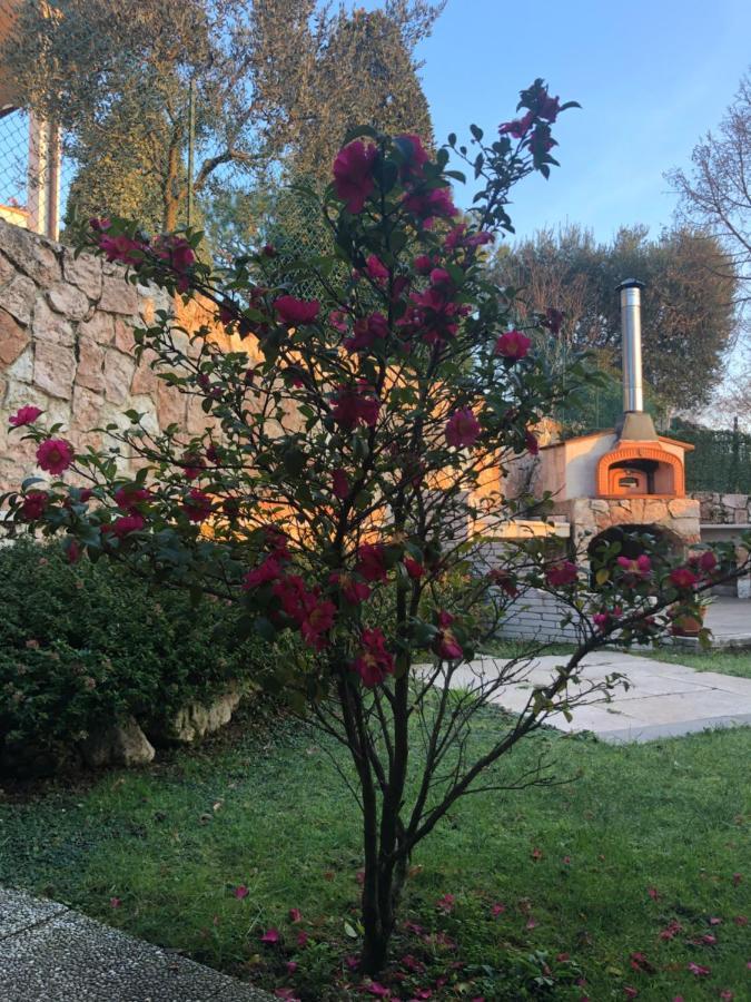 B&B Damiano Crespano del Grappa Екстер'єр фото